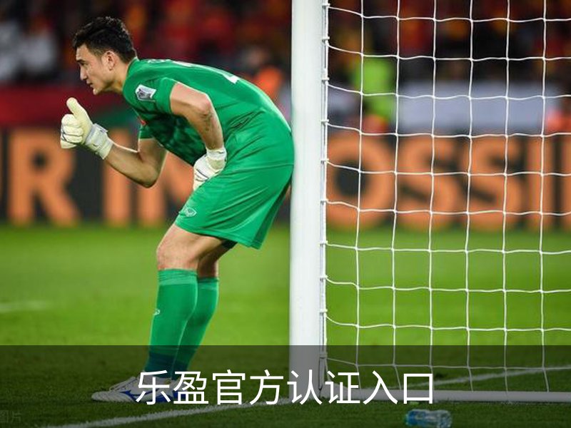 乐盈官方认证入口概况